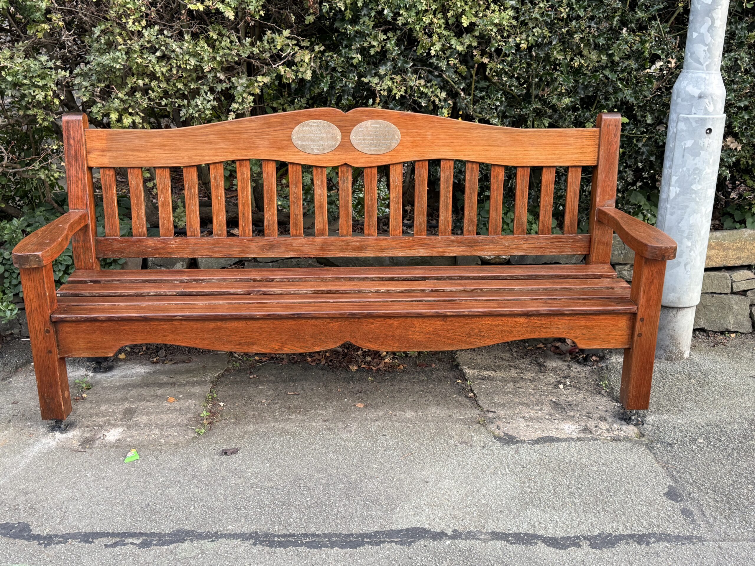 🌿 Cenotaph Bench Update – and We’d Like Your Ideas 🌿
